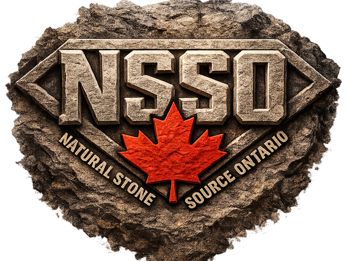 NSSOLOGONEW.png