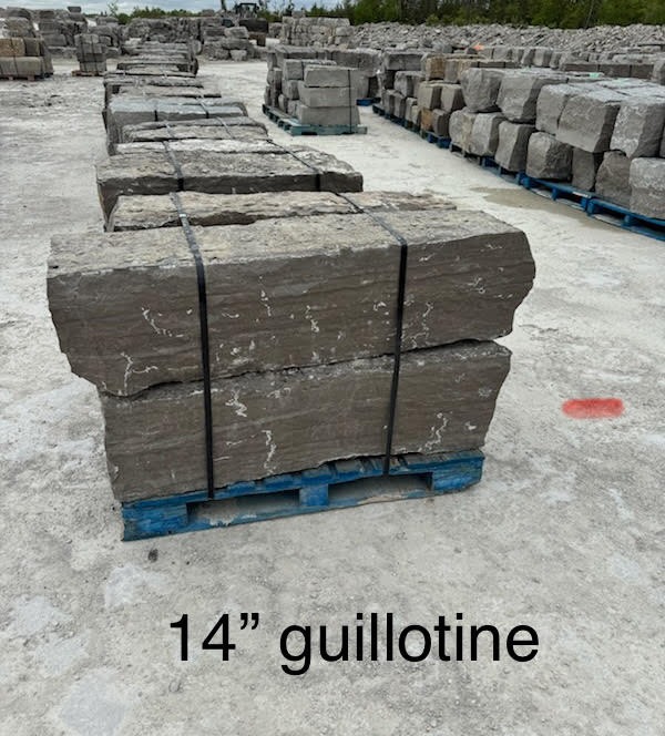Guillotined 12 Inch