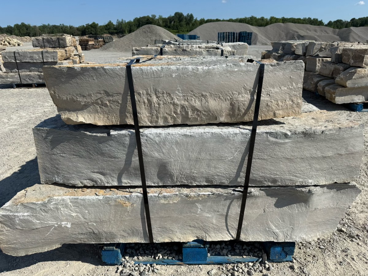 Guillotined 14 Inch